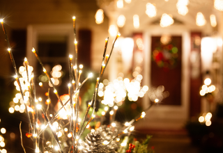 ELLIOT-Services-Christmas-Lights