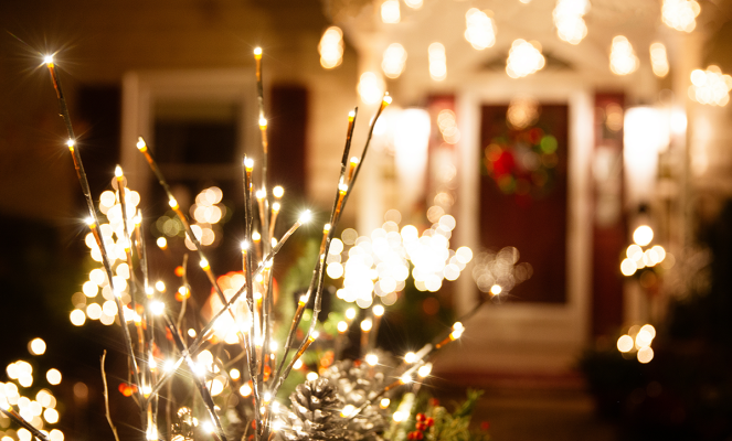 ELLIOT-Services-Christmas-Lights